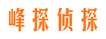 双桥区外遇调查取证